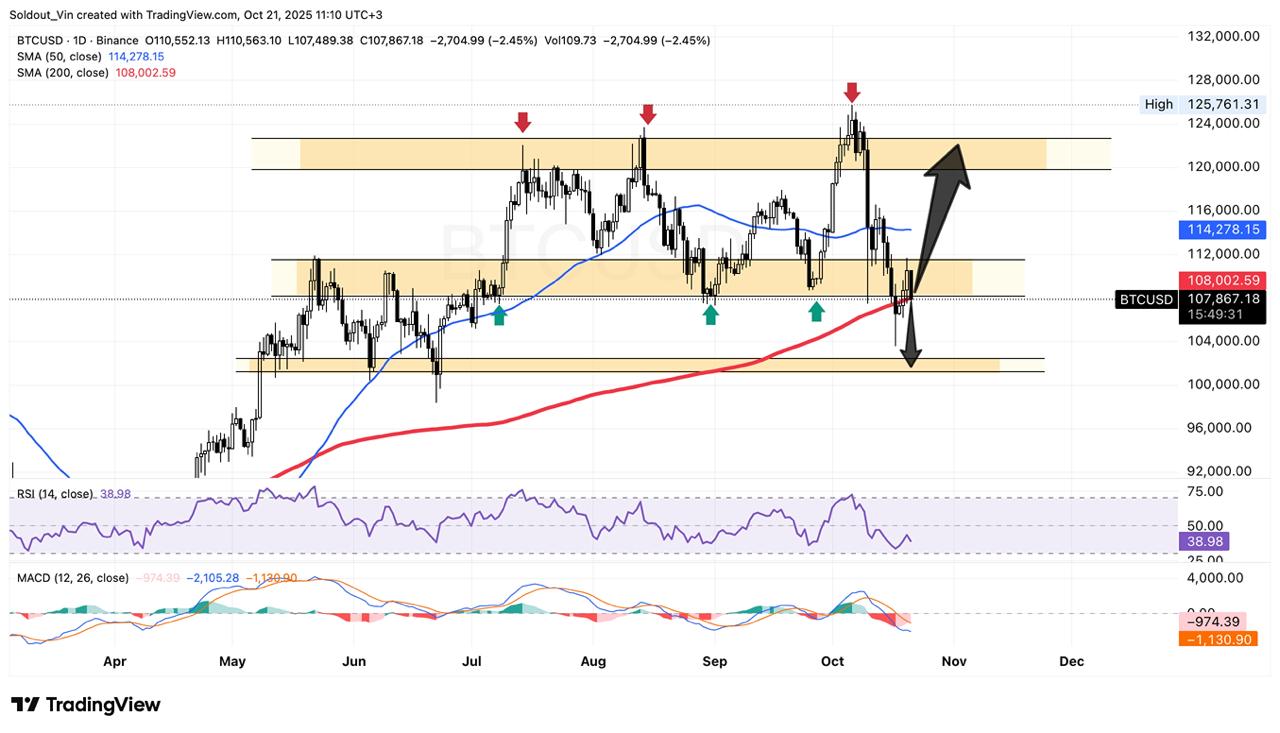 Bitcoin Worth Slumps Beneath 8k As CZ Makes A Daring Prediction