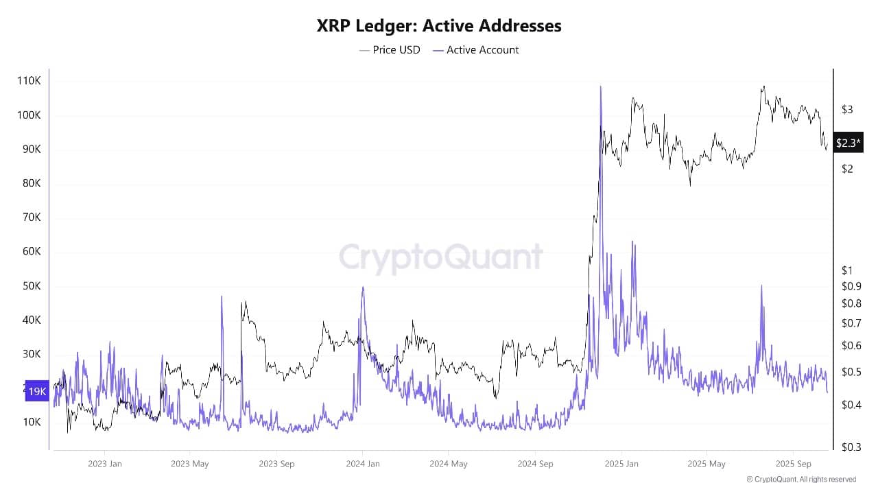 XRP Worth Up as Ripple and Different Crypto Companies to Meet Senate