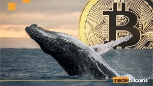 bitcoin whale