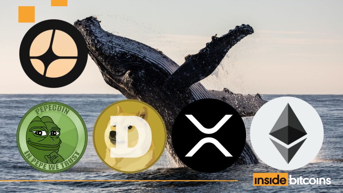Aster Price Plunges 20% As Anti-CZ Whale Makes 0M Profit From Shorts, Targets XRP, DOGE, ETH, PEPE