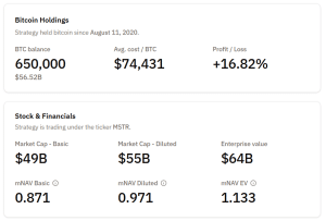 Strategy BTC holdings