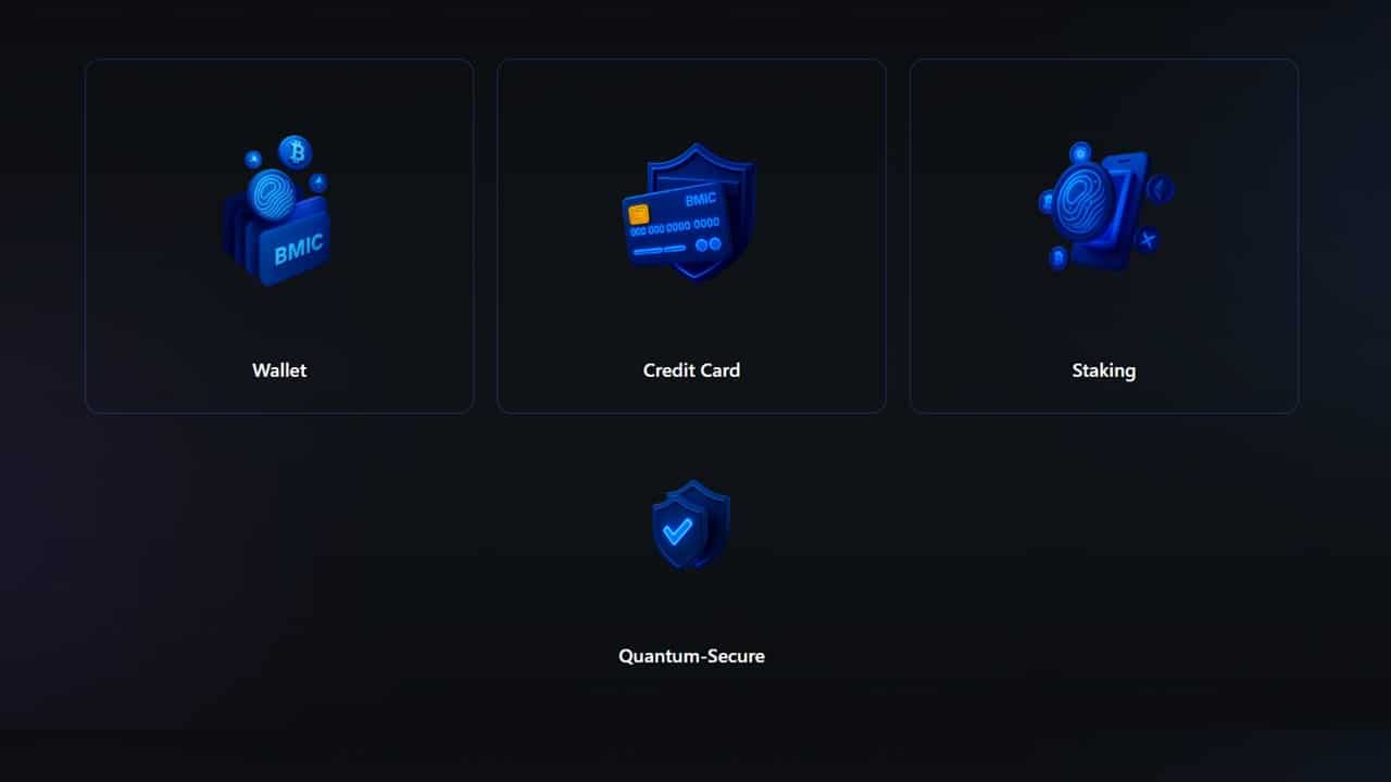 BMIC features